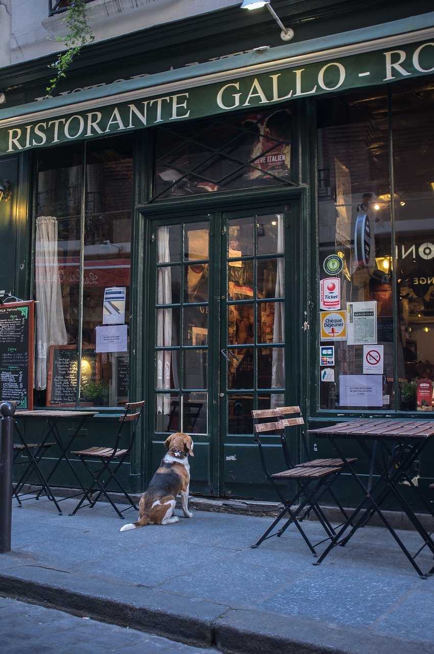 Dog-Friendly Cafes Liverpool City Centre 2025